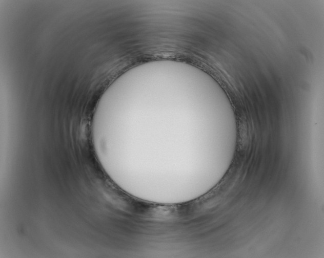 X0000112110126200908041159