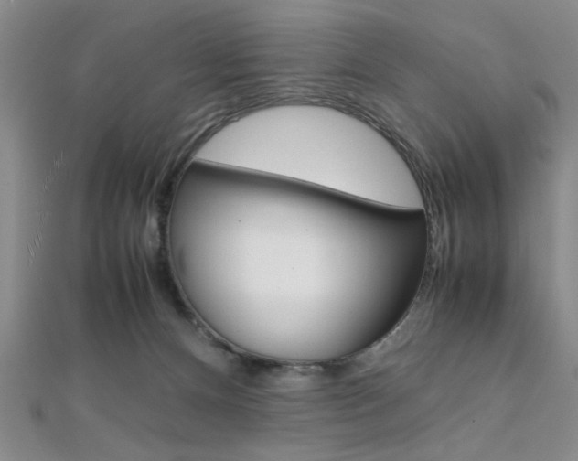 X0000112110128200908041159