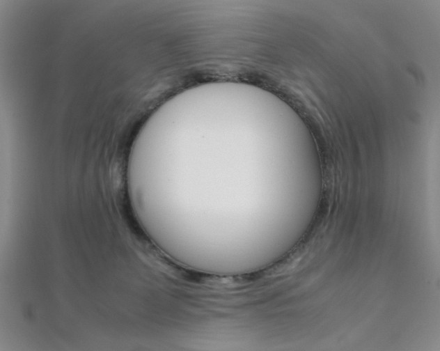 X0000112110131200908041159