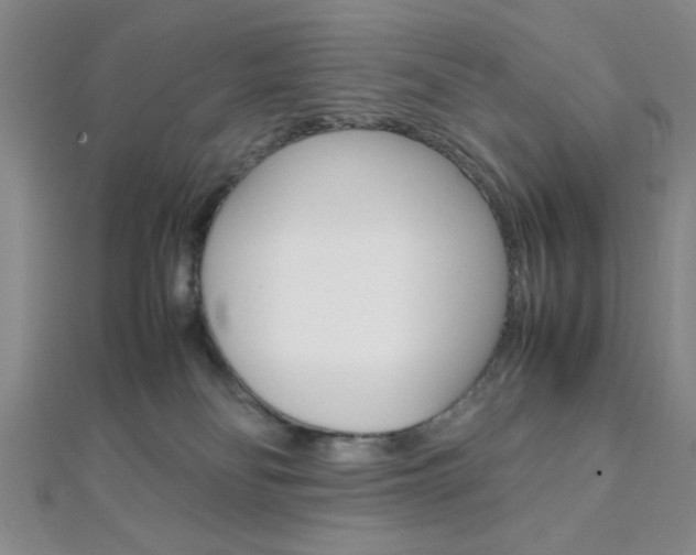 X0000112110134200908041159