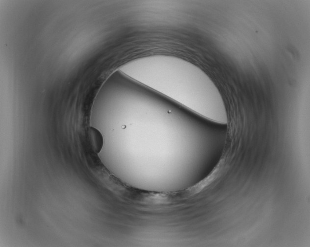 X0000112110140200908041159