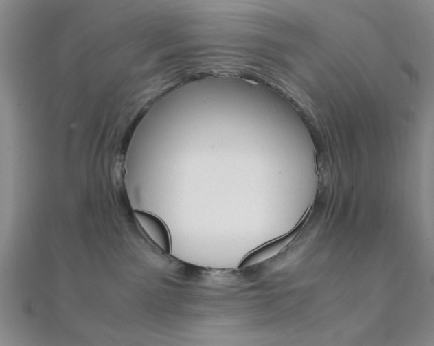X0000112110141200908041159