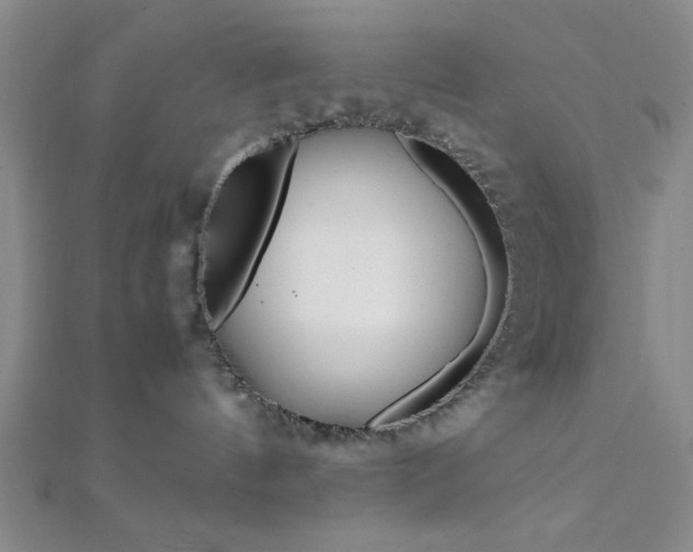 X0000112110144200908041159