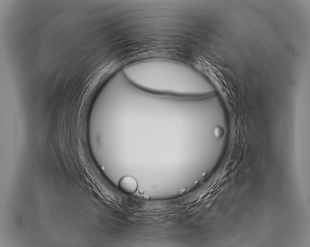 X0000112110145200908041158