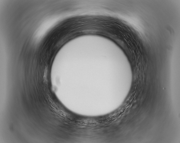 X0000112110146200908041158