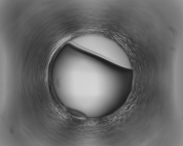 X0000112110148200908041158