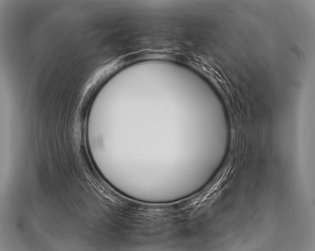 X0000112110149200908041158