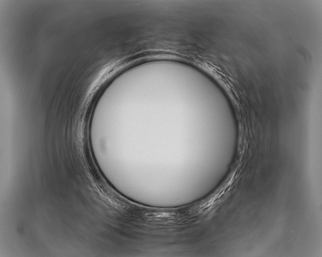 X0000112110151200908041158