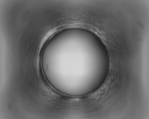 X0000112110152200908041158