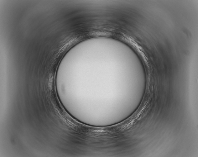 X0000112110153200908041158