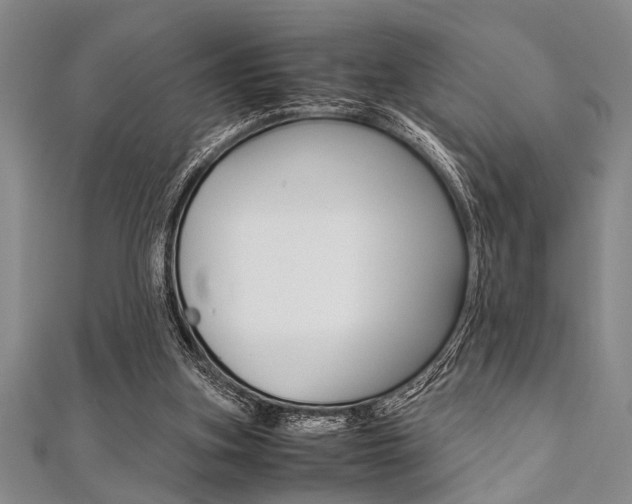X0000112110155200908041158