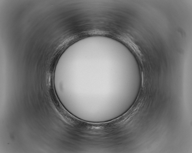 X0000112110157200908041158