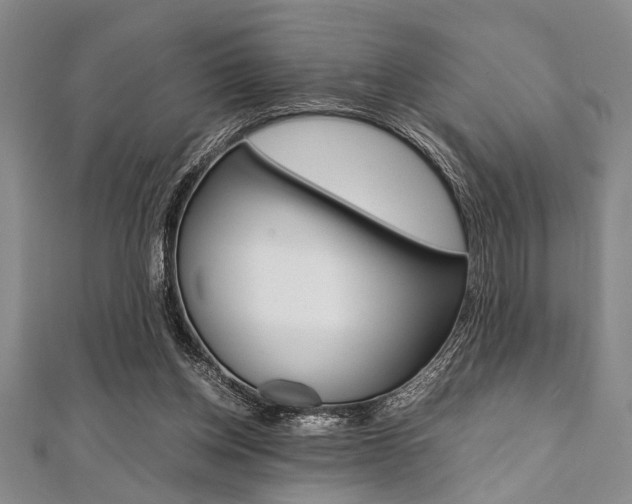 X0000112110158200908041158
