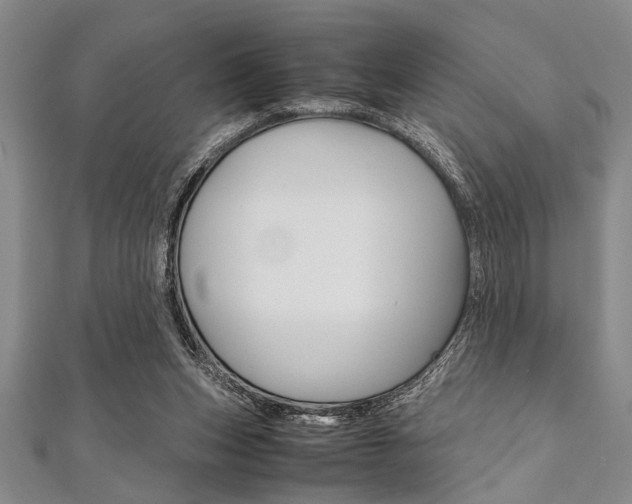 X0000112110159200908041159