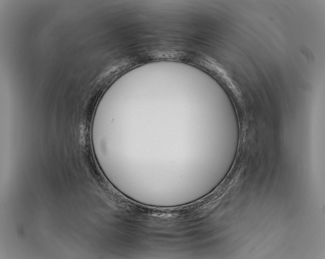 X0000112110161200908041159