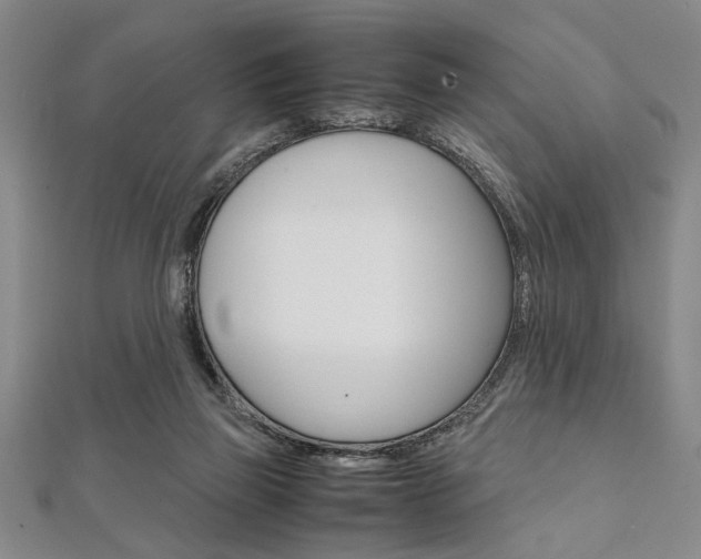 X0000112110165200908041159