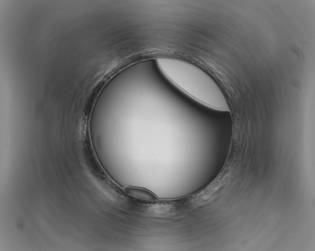 X0000112110168200908041159