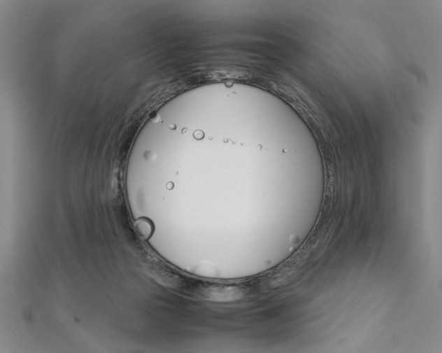 X0000112110169200908041159