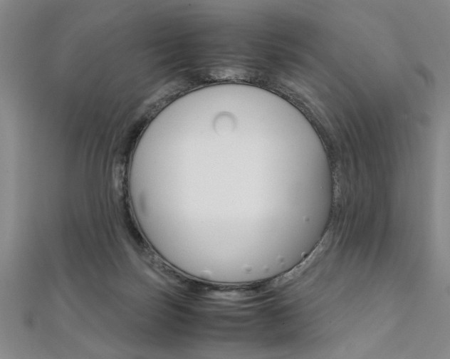 X0000112110171200908041159