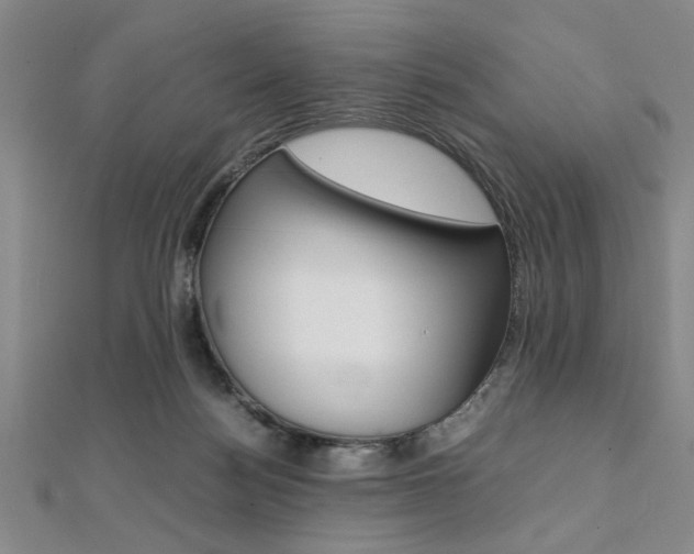 X0000112110172200908041159