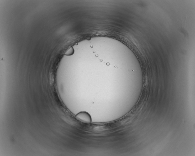 X0000112110173200908041159