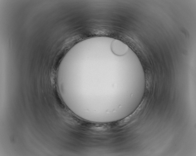 X0000112110175200908041159