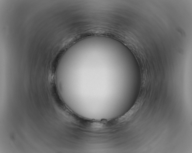 X0000112110176200908041159