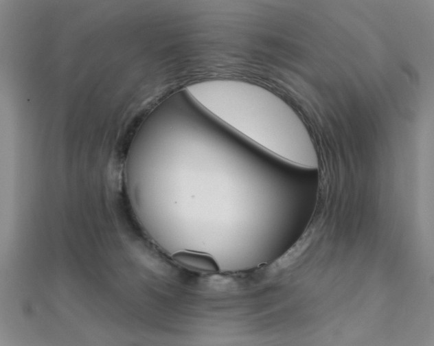 X0000112110180200908041159