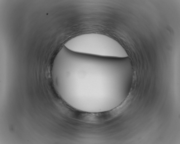 X0000112110182200908041159