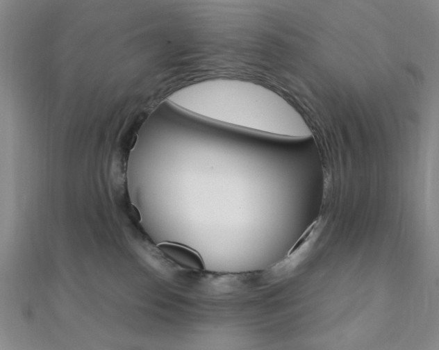 X0000112110186200908041159