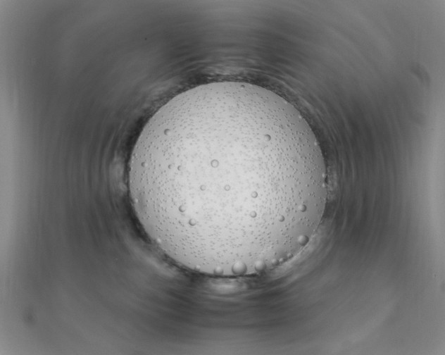 X0000112110187200908041159