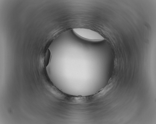 X0000112110188200908041159