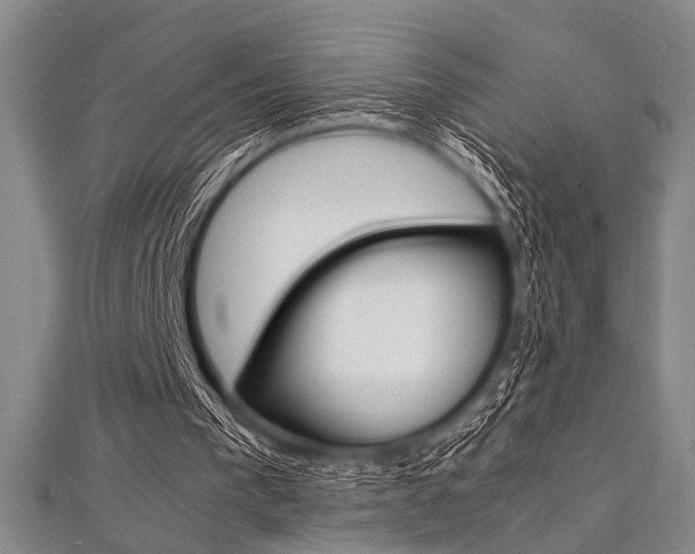 X0000112110193200908041158