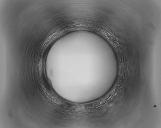 X0000112110194200908041158