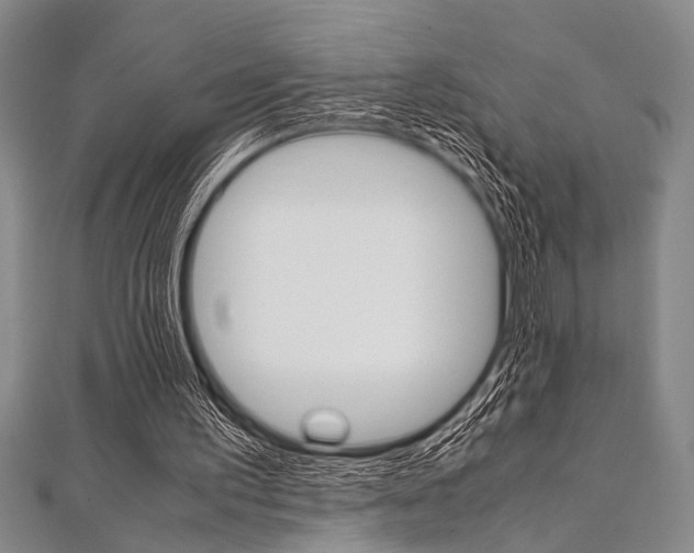 X0000112110195200908041158
