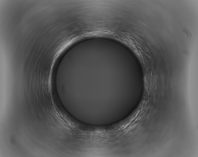 X0000112110196200908041158