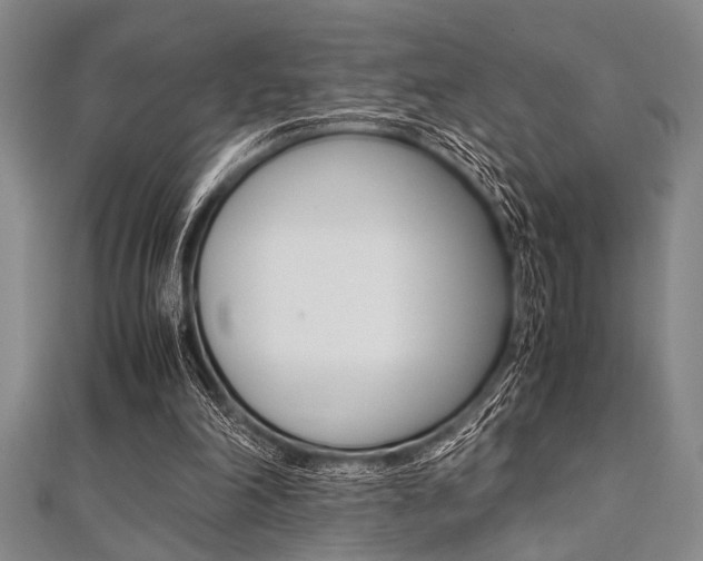 X0000112110198200908041158