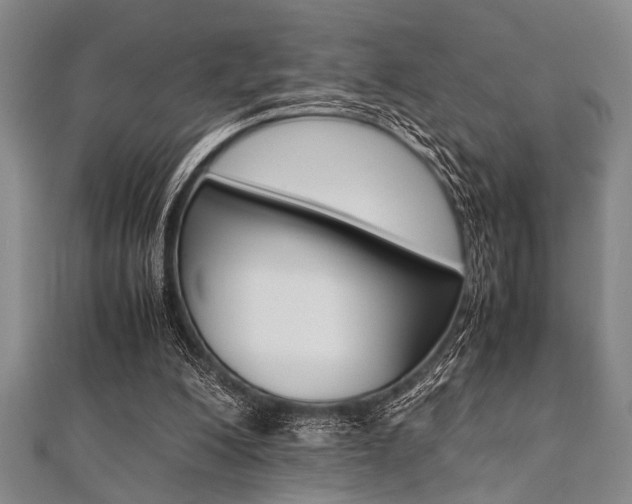 X0000112110200200908041158