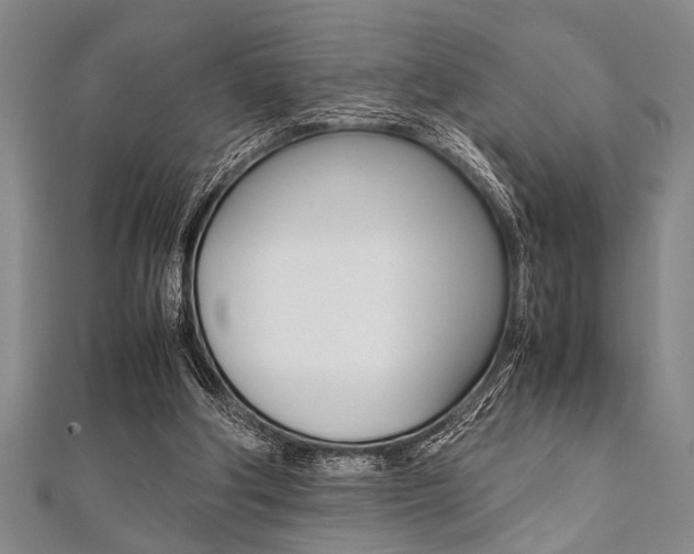 X0000112110202200908041158