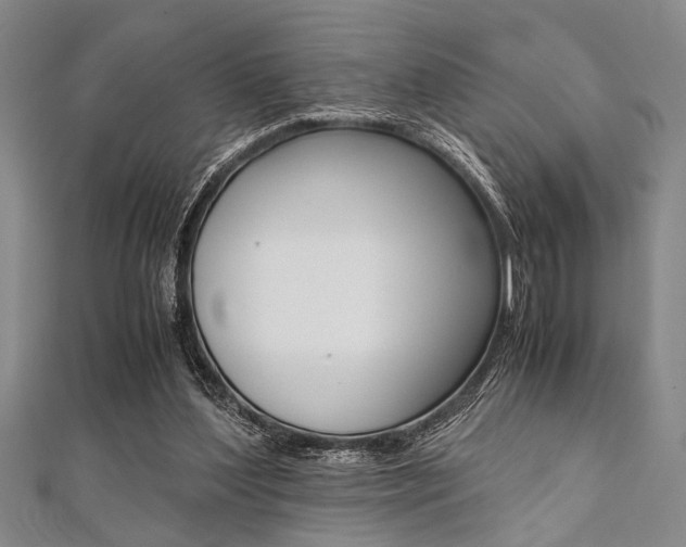 X0000112110204200908041158