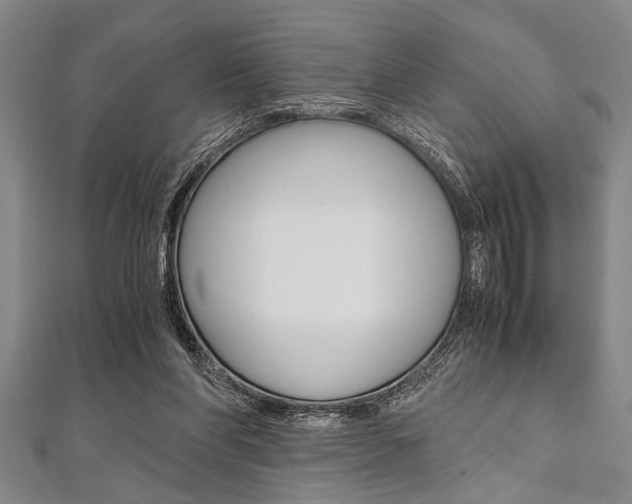 X0000112110206200908041158