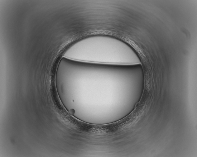 X0000112110207200908041158
