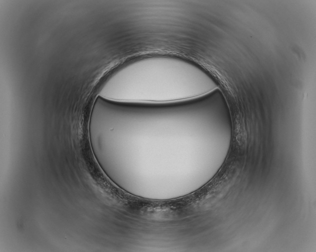 X0000112110208200908041158