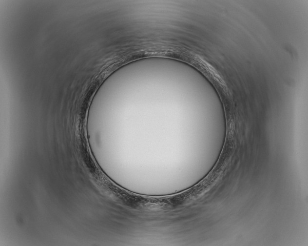X0000112110209200908041158