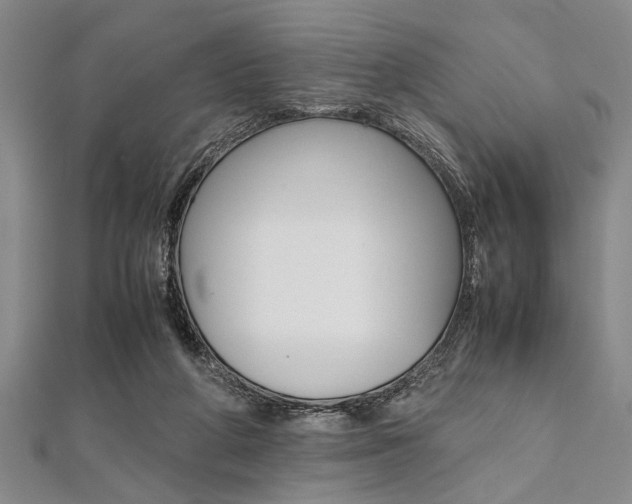 X0000112110210200908041158