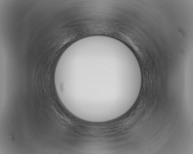 X0000112110211200908041158