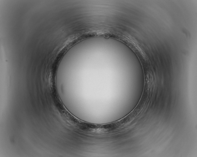 X0000112110212200908041158