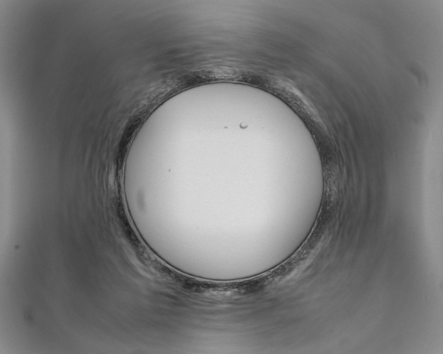 X0000112110213200908041158