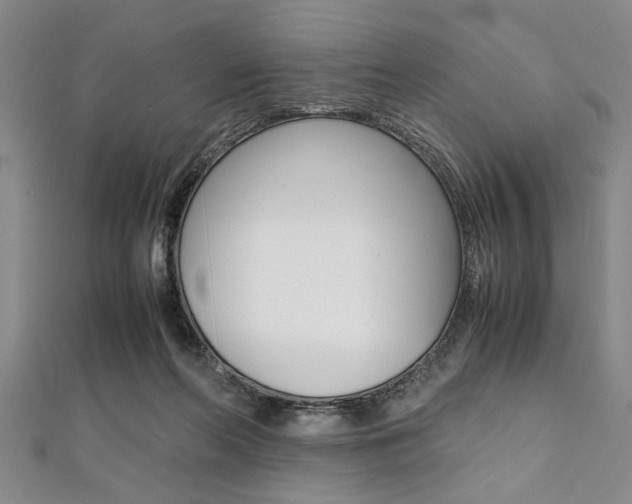 X0000112110214200908041158