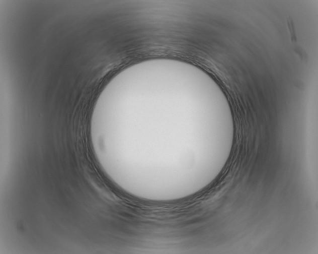 X0000112110215200908041158